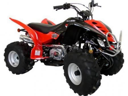 le quad que ma soeur veux elle et folle