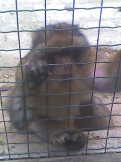 mon couz jordan lol