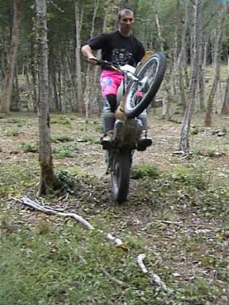 put1 dans la foret comme sa lui lol