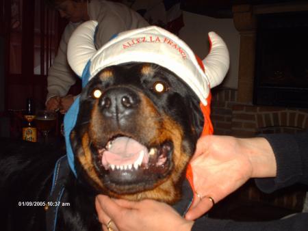 le chien de mon pot?mdr