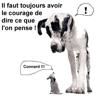 il a pas peur le tio caniche la lol